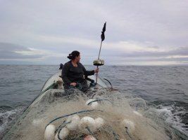 Etnografia sobre pesca artesanal