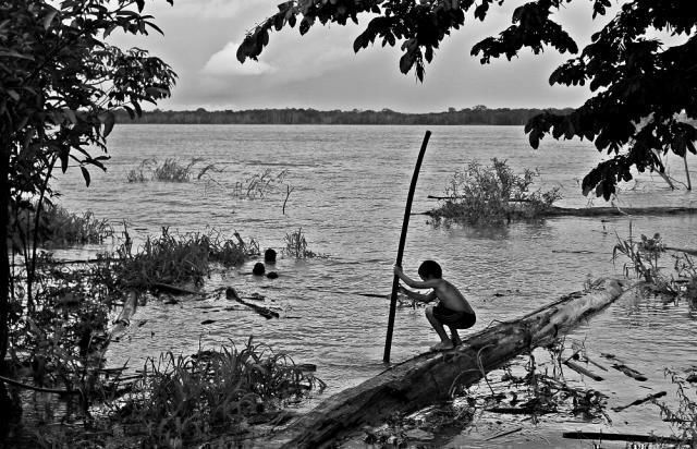 Revista busca divulgar trabalhos relacionadas direta ou indiretamente à Amazônia. Foto: Felipe Rosa