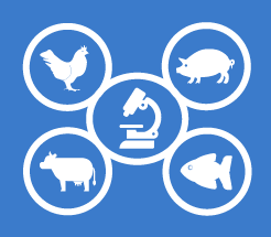 Logo do PPG em Ciência Animal da UFAM 