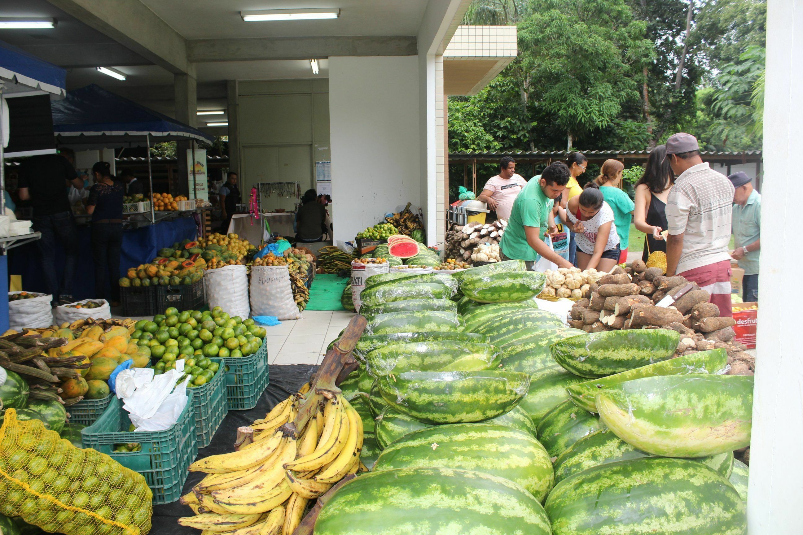 Feria já é tradicional pela venda de produtos regionais oriundos da agricultura familiar de12 municípios do Amazonas