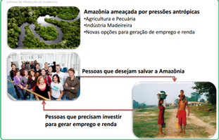 Empresas, ribeirinhos e compradores de certificados de carbono são os envolvidos diretos no processo
