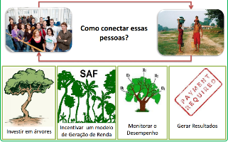 A conexão inicial se dá por meio das empresas que compram certificados de árvores e geram recursos para que se compre sementes e sejam destinadas aos ribeirinhos