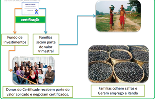 O sistema permite que, ao final, todos saiam ganhando e ajudem a recuperar áreas desmatadas