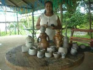 Obec visa desenvolver economia do Amazonas